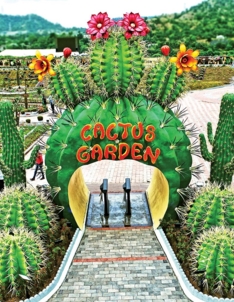 Cactus Garden 2.jpg