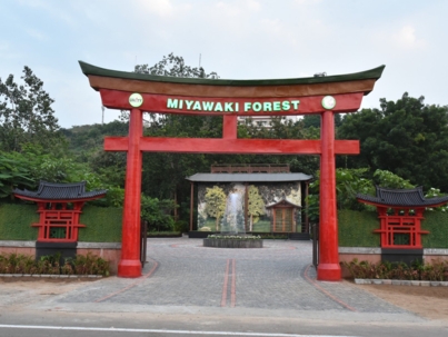 Miyawaki Forest.jpg