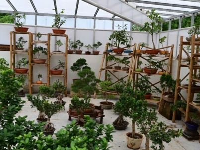 Ekta Nursery 6